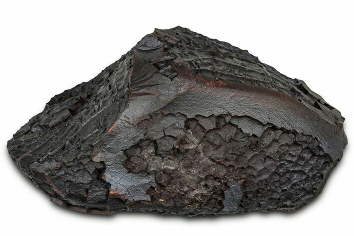 Dragon Scale Stone (Iron, Manganese, Siderite Nodule) #330294